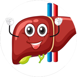 ULTRASONIDO HEPATOBILIAR (HIGADO, VESICULA Y VIAS BILIARES)