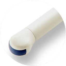 ULTRASONIDO ENDOVAGINAL