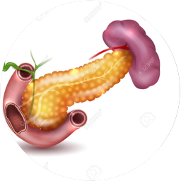 ULTRASONIDO PANCREAS Y BAZO
